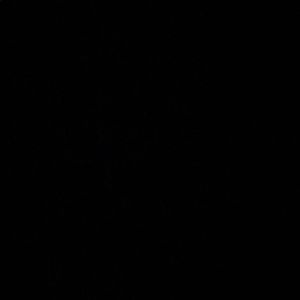 Meet your Posher, Cecilia